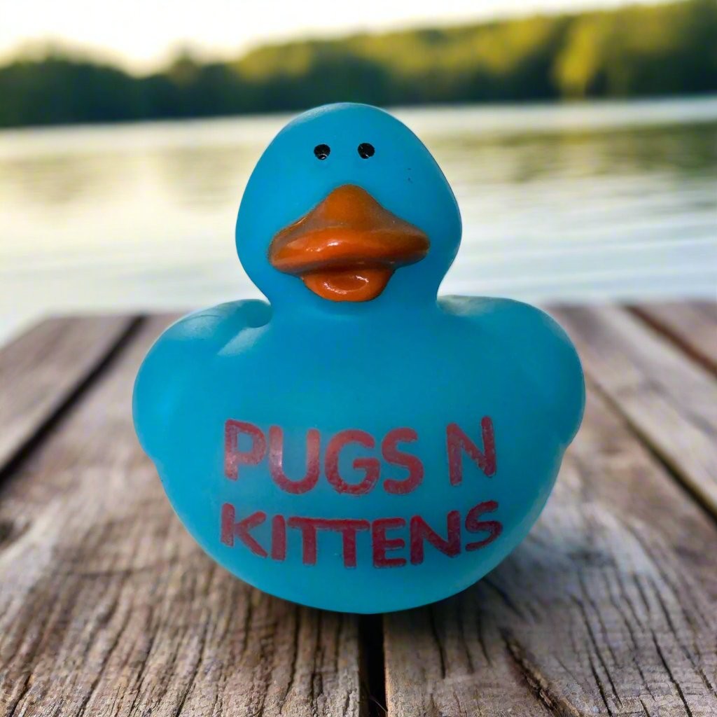 Valentine Rubber Duck Featuring Adorable Pugs and Kittens