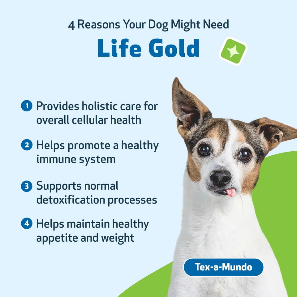Pet Wellbeing Life Gold Herbal Supplement for Dogs Immune Support Detox 2oz - Image 3 of 4