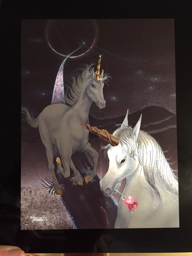 unicorn 8x10 framed picture