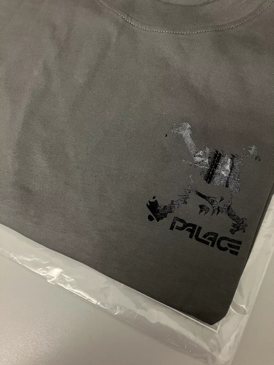 PALACE SKATEBOARDS OAKLEY T-SHIRT GREY SIZE SMALL SUMMER 2023