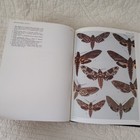 Picture 15 of 24