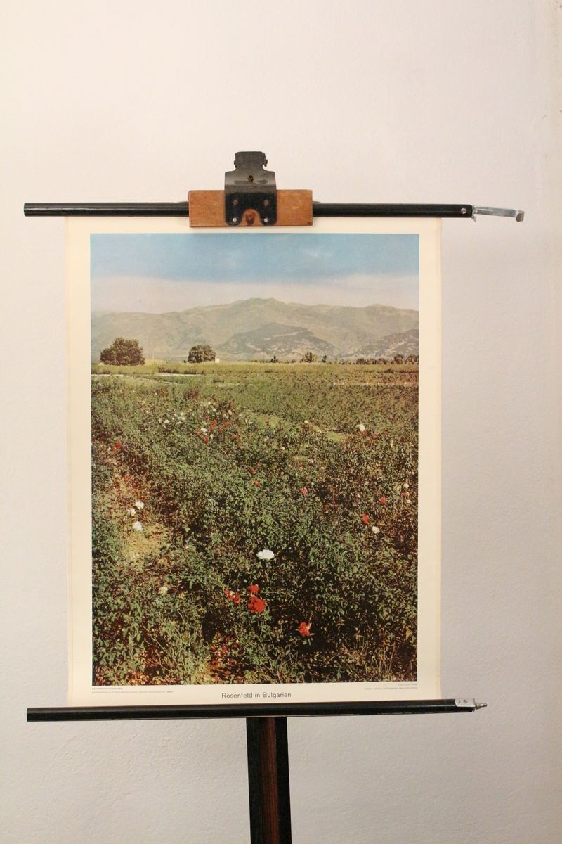 Kunstdruck Schulwandkarte Rosenfeld Bulgarien Osteuropa Rollkarte Bild Tafel