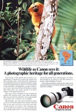 1982 Canon Camera: Golden Lion Tamarin Vintage Print Ad
