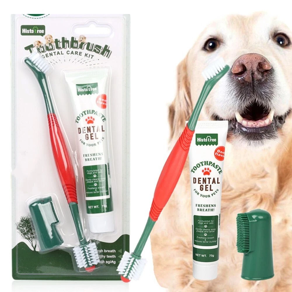 Can you use top cat toothpaste on dogs
