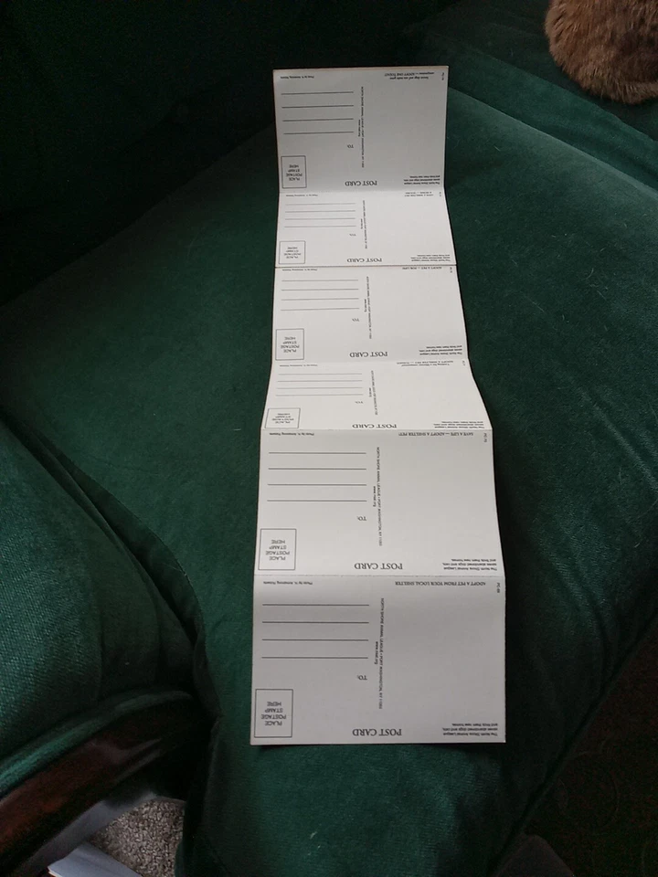 Greeting Postcard Animal Shelter North Shore League Kittens And Puppies 1980's  - Image 2 of 4