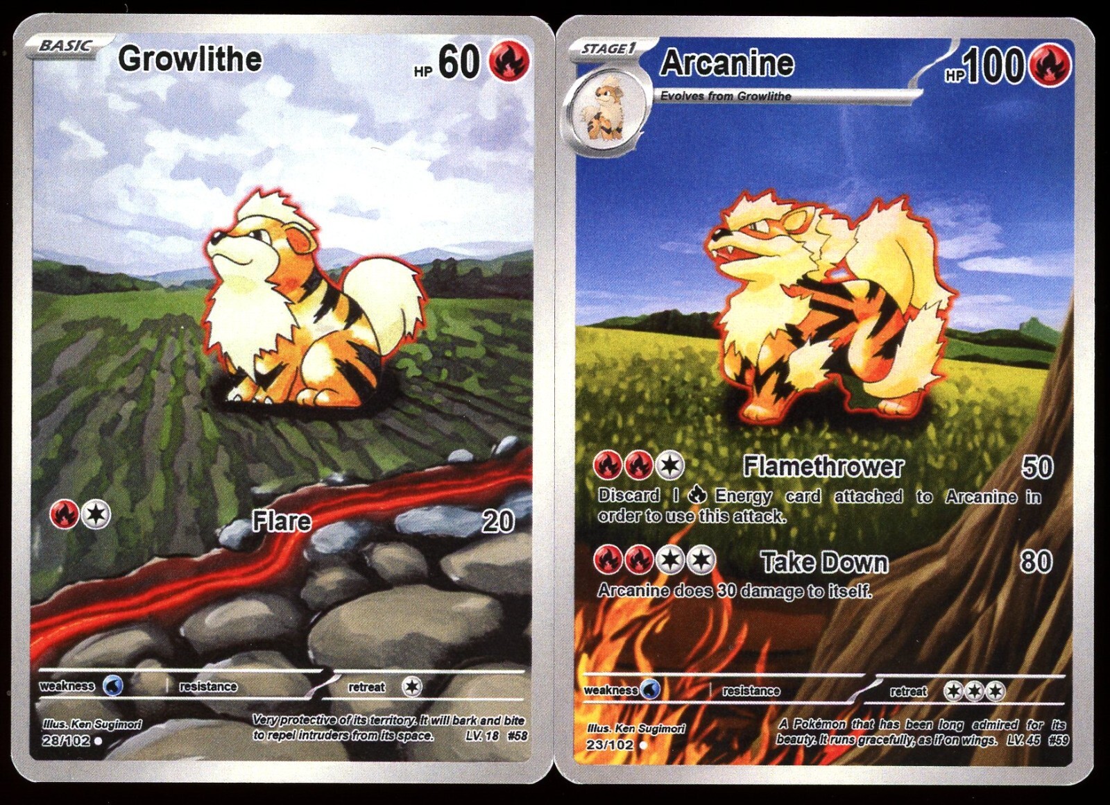 Growlith & Arcanine illustration rare Pokemon Card Fan Art Alt Art