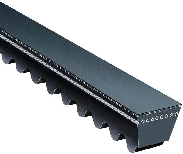 Accesorio Correa de transmisión para camioneta de 1 tonelada, modelo 8-101, modelo 8-105+más TR24315 Foto 3 de 4