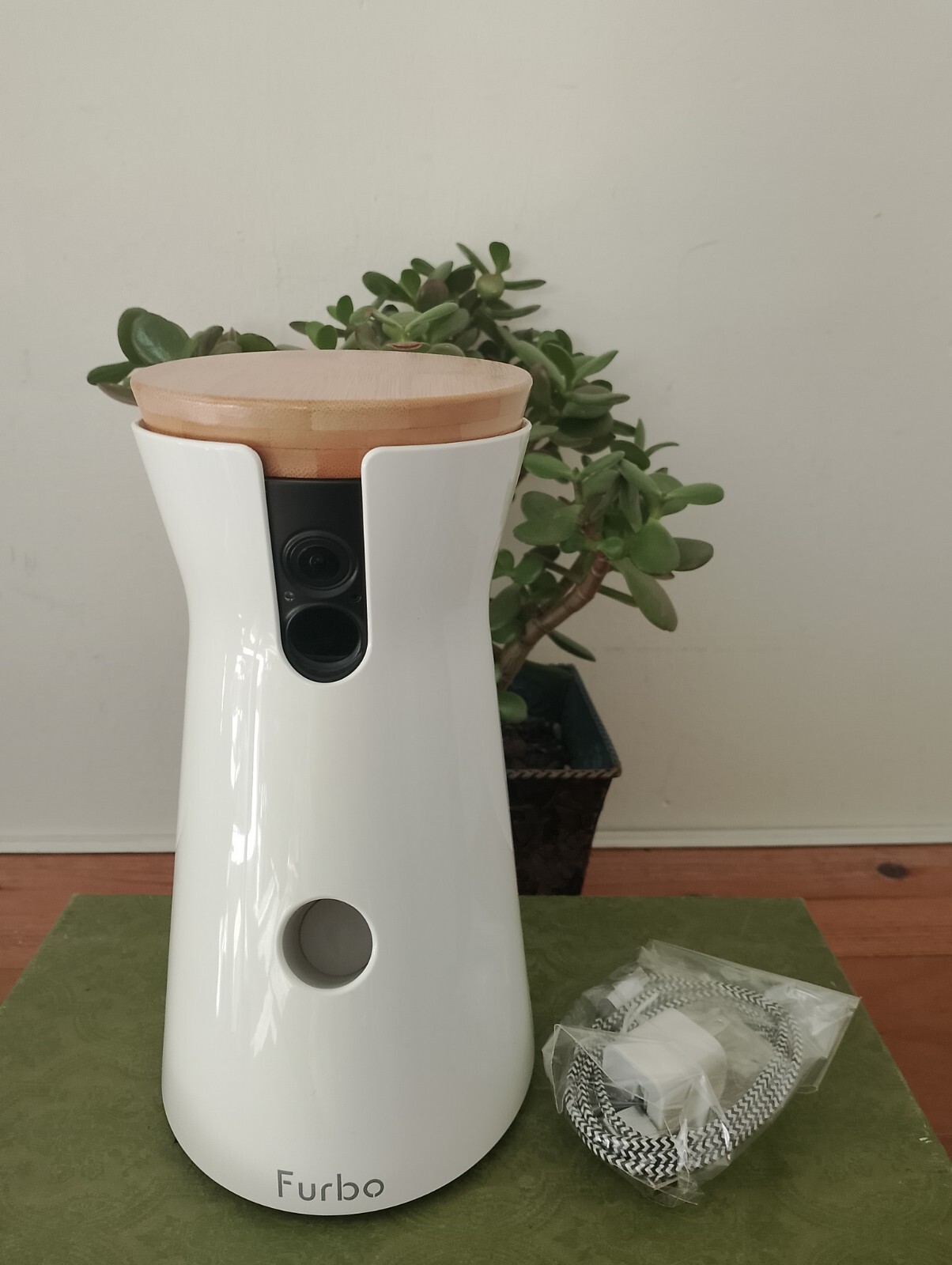 Furbo 2 Dog Camera Treat Tossing 1080p Night Vision Pet Camera 2-Way Audio WiFi-image