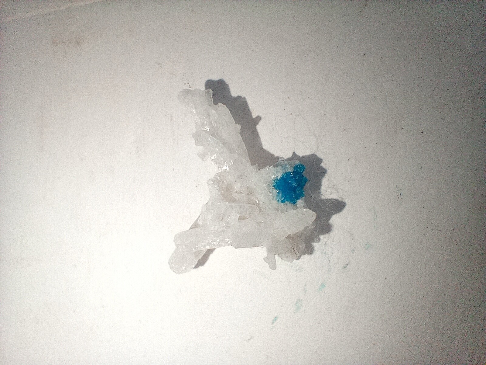 Bild 2 von 4