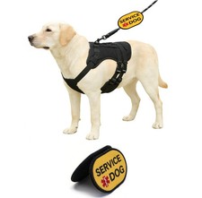 Service Dog Patch  Leash Wrap - Double Sided Versatile Design, Can Be Separa...