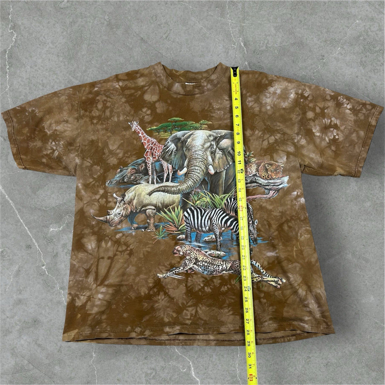 Picture 4 of 6