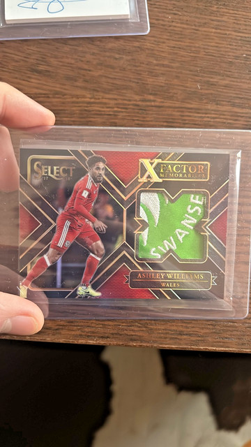 2017-18 Panini Select X Factor Memorabilia Ashley Williams 1/1