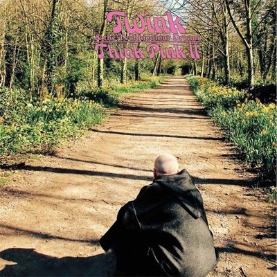 Audio Cd - Twink - Think Pink 2  - Sunbeam Records -D- Neu