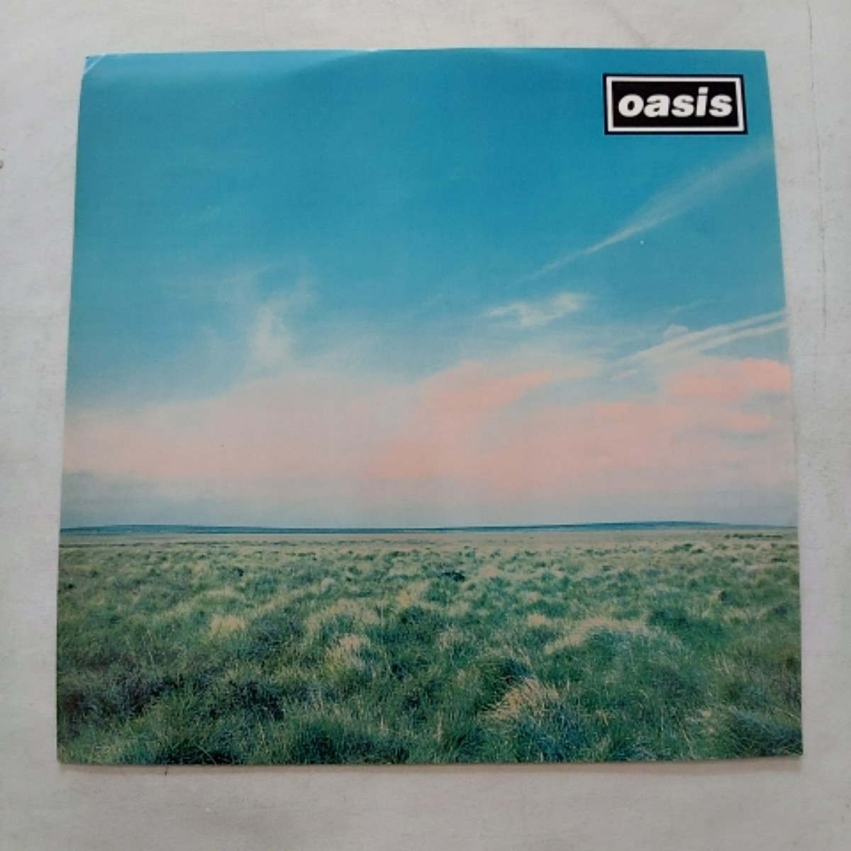Oasis Whatever 12