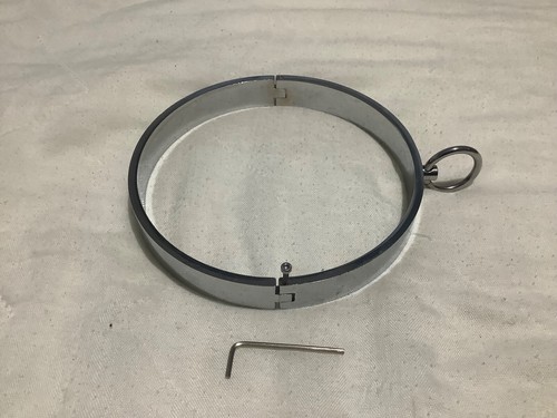 collar sumisa - Imagen 7 de 9