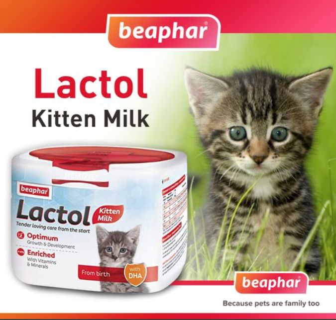 Beaphar Lactol Kitten Milk 250g @Melian