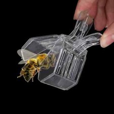 5Pcs Plastic Queen Cage Clip Bee Catcher Beekeeper Equipment Beekeeping Tools