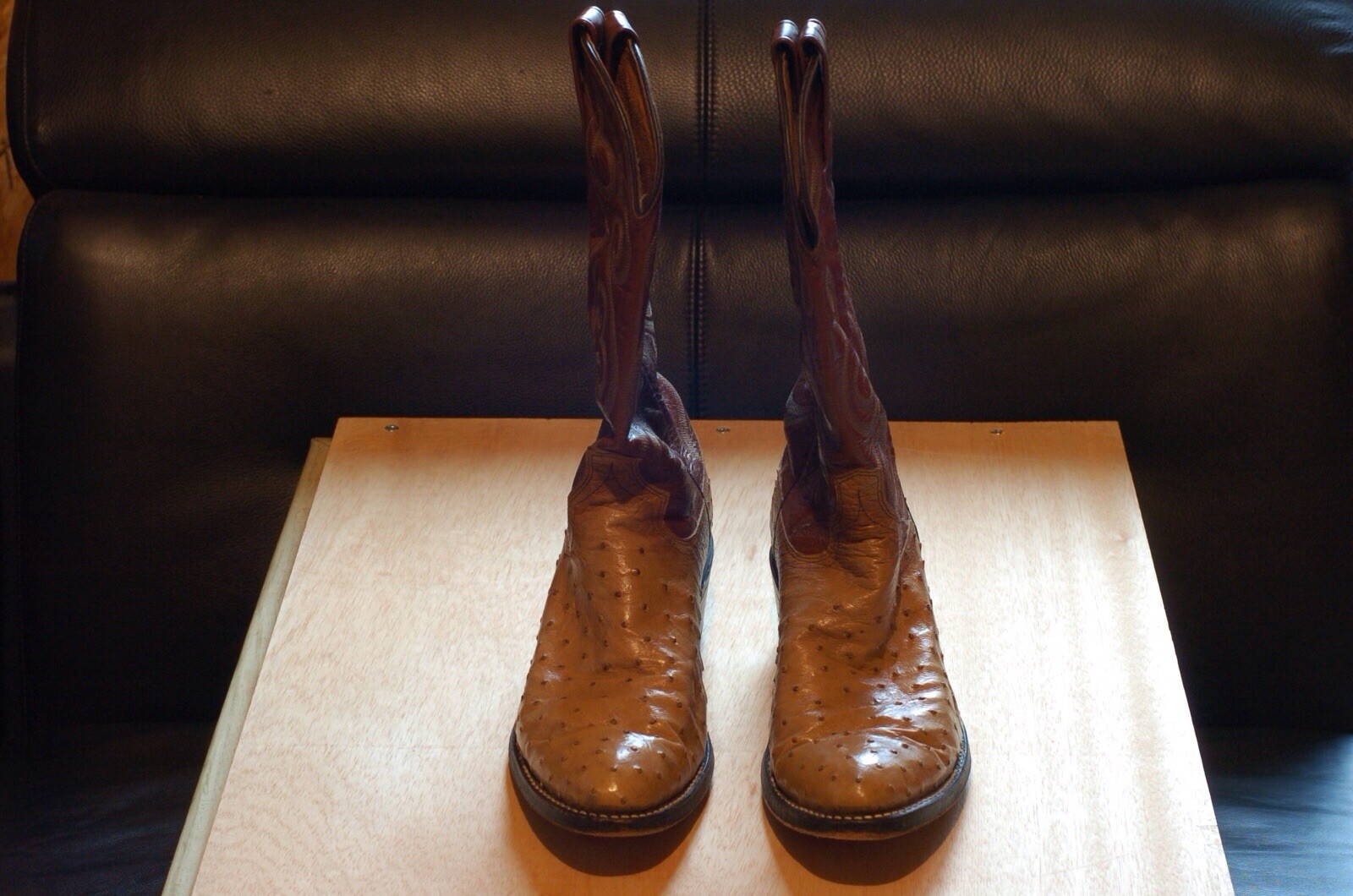 Dan Post Ostrich Boots - Gem