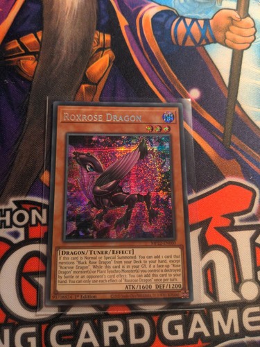 Yugioh - Roxrose Dragon - MP22-EN060 *Secret Rare* 1st Edition (NM/M)