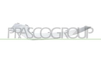 Prasco ME0461244 Zierleiste Links StoßStange Vorne Verchromt Mercedes - E Class