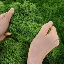 Artificial Green Moss for Christmas Potted Plants 5.3OZ for Crafts Preserved ...