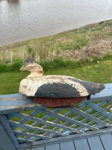 Antique Maine Eider Duck Decoy
