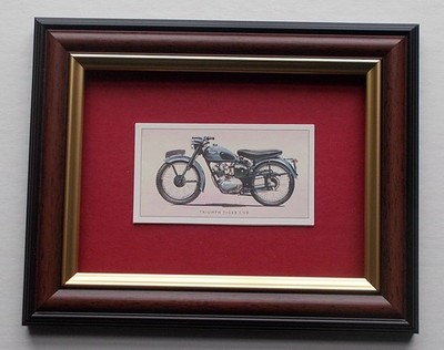 MOTORRAD BILD GERAHMT - TRIUMPH TIGERJUNGES