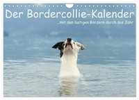 "Calendar 2027 · US Version · The Border Collie Calendar (Wall Calendar 2027 12\""