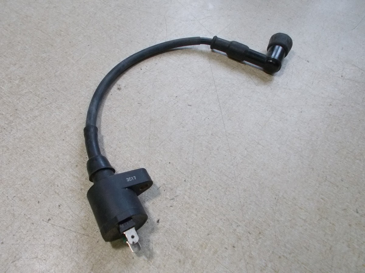 NEW Moped Scooter Ignition Coil & Wire Assembly Dasheng 3C17