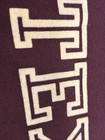 Vintage Texas A&M Aggies University Pennant 11x29 inch Football — photo 10