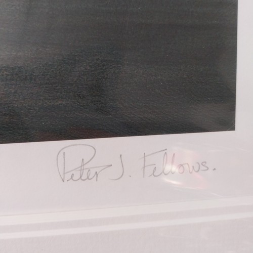 Steel & Silver II - Peter J Fellows , MOUNTED SIGNED LIMITED EDITION 31/295 - Picture 2 of 7