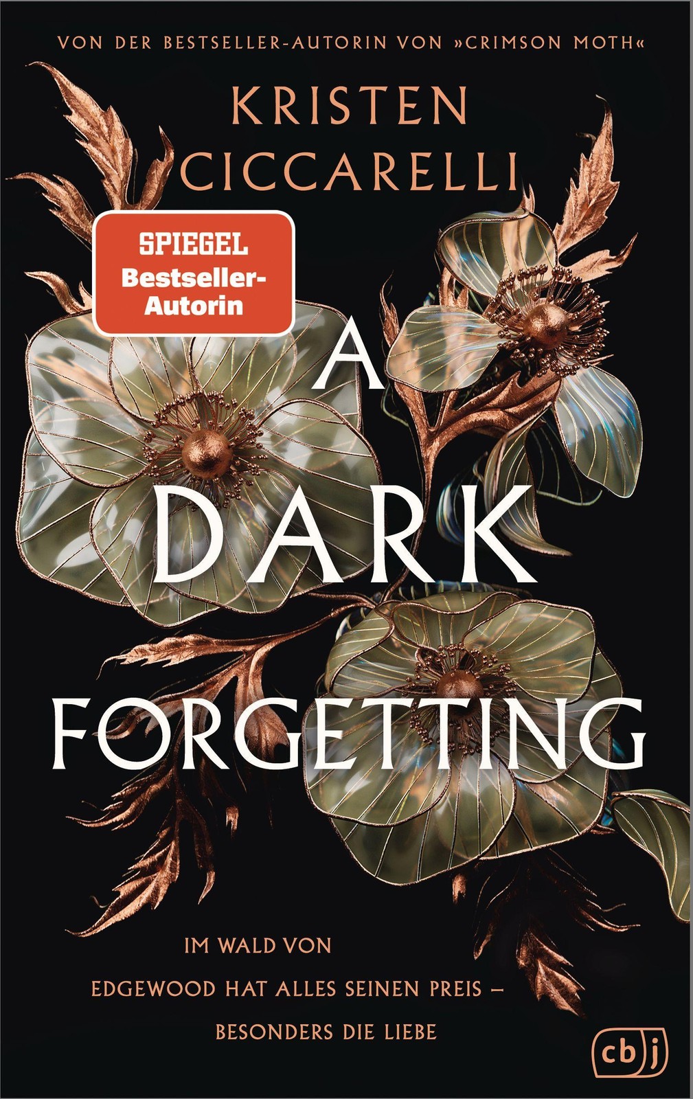 A Dark Forgetting Kristen Ciccarelli - Bild 2