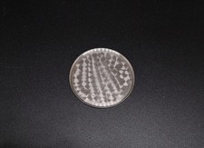 Replacement Original Part Case Back / Fondo OMEGA 196.0147 Costellation