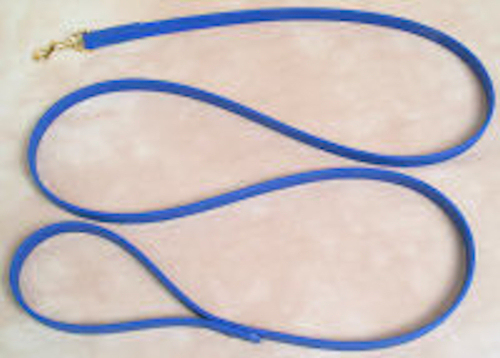 6' Beta Hundeleine, 3/4" breit royalblau - Bild 1 von 1