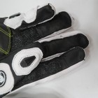 Foto 6 di 9
