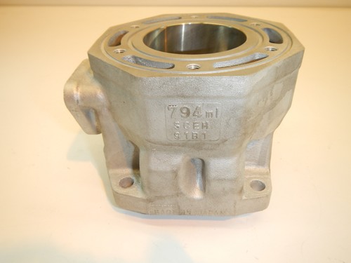 CYLINDER 1995-2001 ARCTIC CAT ZRT 800 & 1998-1999 PANTERA 800 95 96 97 98 99 00 - Bild 4 von 11