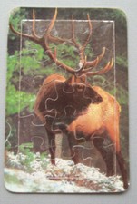 Bull Elk puzzle postcard