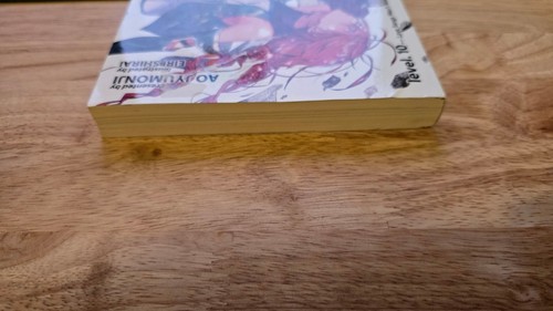 Grimgar of Fantasy and Ash Level Light Novel Volume 10 English Book - Picture 2 of 11