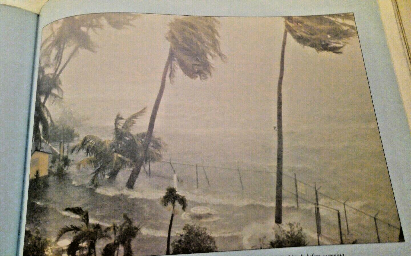 Picture 4 of 6