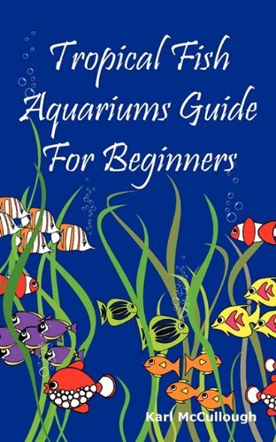 Tropical Fish Aquariums Guide for Beginners: All You Need to Kno
