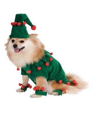 Elf Pet Costume - Large - Rubies