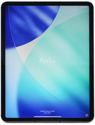 Apple iPad Pro 3 11 Zoll 2021 256 GB iPadOS Wifi Cellular Space Gray A2459 MHW73