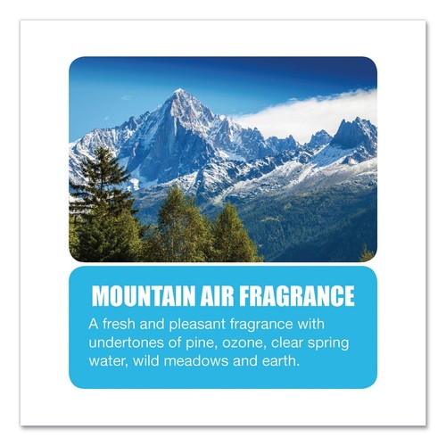Big D Industries 1358 1-Gal. Water-Soluble Deodorant - Mountain Air (4/CT) New - Picture 4 of 4