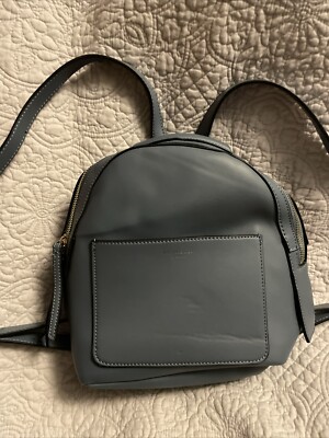 FIORELLI Cornflower Blue Small Backpack Purse Bag Periwinkle London 