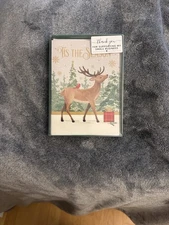 Holiday Cards With Envelopes Set Of 10