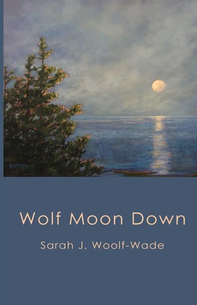 Wolf Moon Down Sarah J Woolf-Wade Taschenbuch Kartoniert / Broschiert Englisch-image