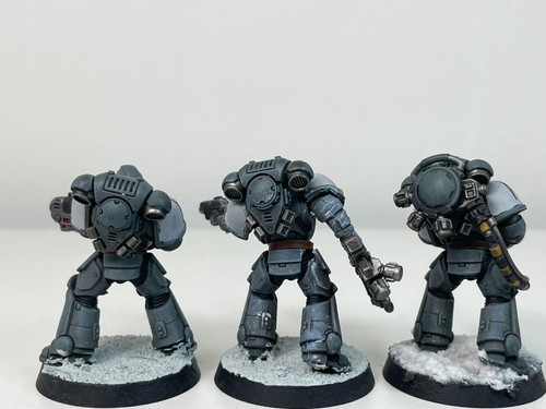 Hellblasters Fully Painted Space Wolves Space Marines Warhammer 40k 1590 - Picture 6 of 13