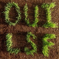 Les Savy Fav - Oui Lsf - Cd - G3Z