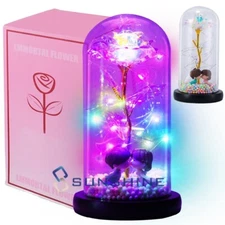 Forever Galaxy Rose Eternal Romantic Flower Gift In Glass Dome LED Light for Her