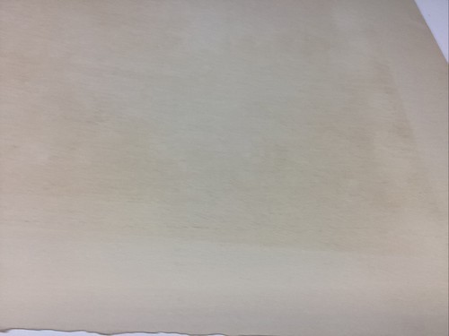 ART PAPER ETCHING PHOTO PRINT PLATE E. PEARLE SIGNED NOON DAY REST COWS Proof - Picture 18 of 20